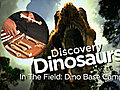 Dinos: In The Field: Dino Base Camp