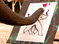 Elephant Picasso