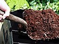 How to create and use compost in your garden
