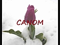 canom