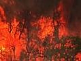 Wildfires burn 500,000 acres in GA,  FL