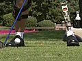 National Amputee Golf Tournament Comes To Chicago