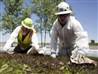 Cause of pipeline rupture under investigation