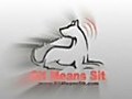 Dog Training Career With Sit Means Sit Dog Training Company