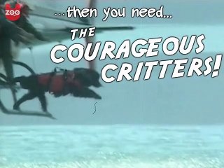 Courageous Critters