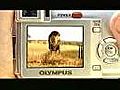 Olympus Camera-- Good Show