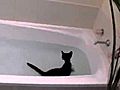 Bath Tub Kitty