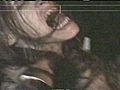 Lost Tapes: Eaten Alive