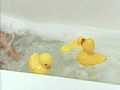 Kids Bathe With Rubber Duckie