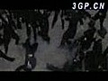 功夫 3GP 版4