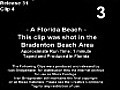 A Florida Beach (2007)