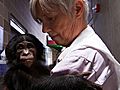 Sue Savage-Rumbaugh: What Bonobos Can Teach Us