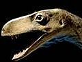 Early dinosaur species believed found