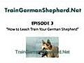 How to Leash Train Your German Shepherd