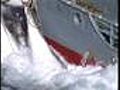 Documental ?Ballenas? 2