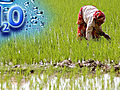 Lebenselixier Wasser: Landwirtschaft