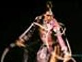 Discover The Cirque du Soleil Show TOTEM