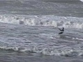 kitesurf azemmour plage maroc