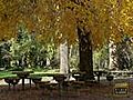 Innsbruck Herbstbilder - A Fall day in Tyrol Austria