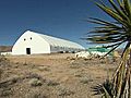 Shrimp Being Grown In Nevada Desert