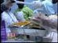Bea Gaddy’s Dinner Struggles For Donations