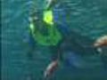 Go Snorkeling At The Denver Aquarium