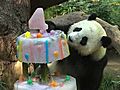 Panda Birthdays 2009