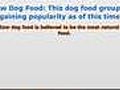 How to Find Best Dog Food Online