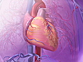 Study: Heart rate predicts health