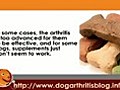Other Dog Arthritis Alternative Supplements
