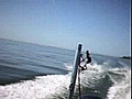 Session Wake avec Makos