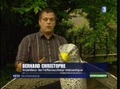 Il chasse les goélands