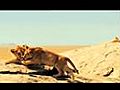 Naturerlebnis im Kino: Serengeti