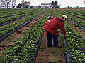 Emeril Green 2: Locally Grown Goodness