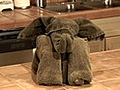 How to Make a Folded Towel Elephant