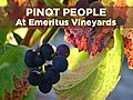 Brice Jones: Pinot People