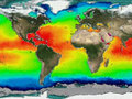 Global Warming/Hurricane Connection