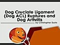 Dog ACL and the Dog Arthritis