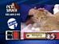 3/29 Petsaver: Quigley the cuddly cat!