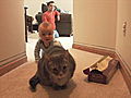 Little Parents,  Big Charlie Webisodes: Charlie And The Cats