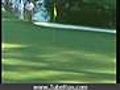 Tiger Woods make a sensational shot