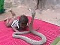 BABY AND A KING COBRA!!