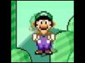 Dumbass Luigi