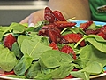 Skinny Strawberry Salsa Salad