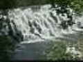 Swimming Tragedy: Two Teens Drown In Bronx River