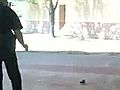 Il duello poliziotto-scoiattolo