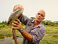 River Monsters: River of Freaky Fish