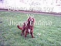 Jhorky Enrique