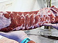 BBQ Pitmasters: What Makes Good Ribs