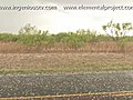 Giant Hail Near White River Lake Texas,  April 26th